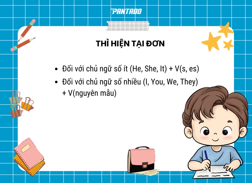 Cách chia động từ ở thì Hiện tại đơn theo ngữ pháp tiếng Anh lớp 2